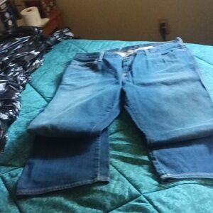 Gap Jeans size 16 Long